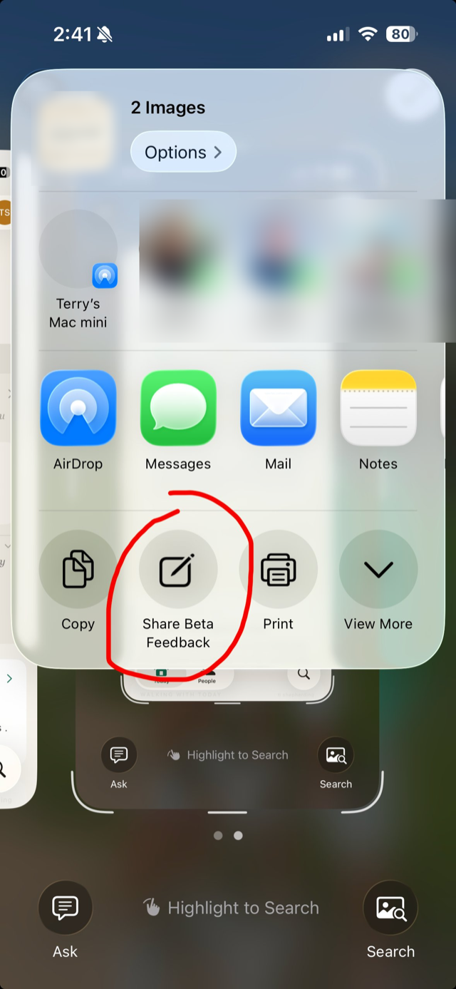 Choose Share Beta Feedback from the share sheet